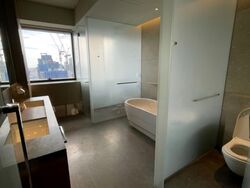 Hana (D10), Condominium #538976831